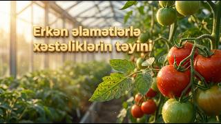 Bitkilərdə Xəstəlikləri Erkən Necə Müəyyən Etmək Olar? Fermer Saatı