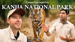 This Is The Best Way To See Tigers In India