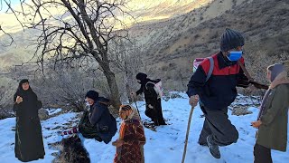 Download Lagu The sheep got lost in the ravines,the leopard attacked;Khadija's tears amidst the snow and mountains MP3