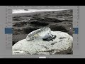 Explore all records | iRecord St Helena