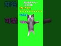 ランキング 猫ミーム最強な猫ランキング 猫ミーム ランキング 最強 猫マニア 猫マニ Meme Cat 猫 Shorts ミーム