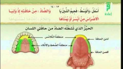 ثالثا : مخارج اللسان (ج2 ) وفيه حرف (الضاد) وما يتعلق به من تنبيهات - برنامج الاتقان لتلاوة القران