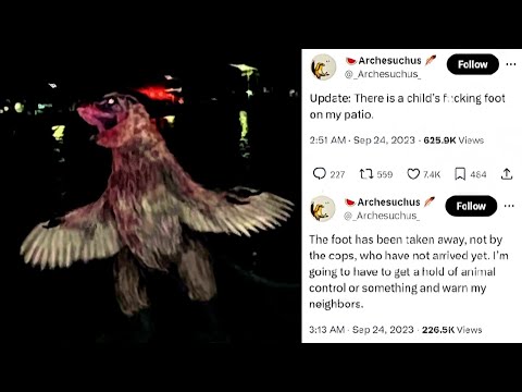 That's NOT A F*cking Bird | #weirdbirds