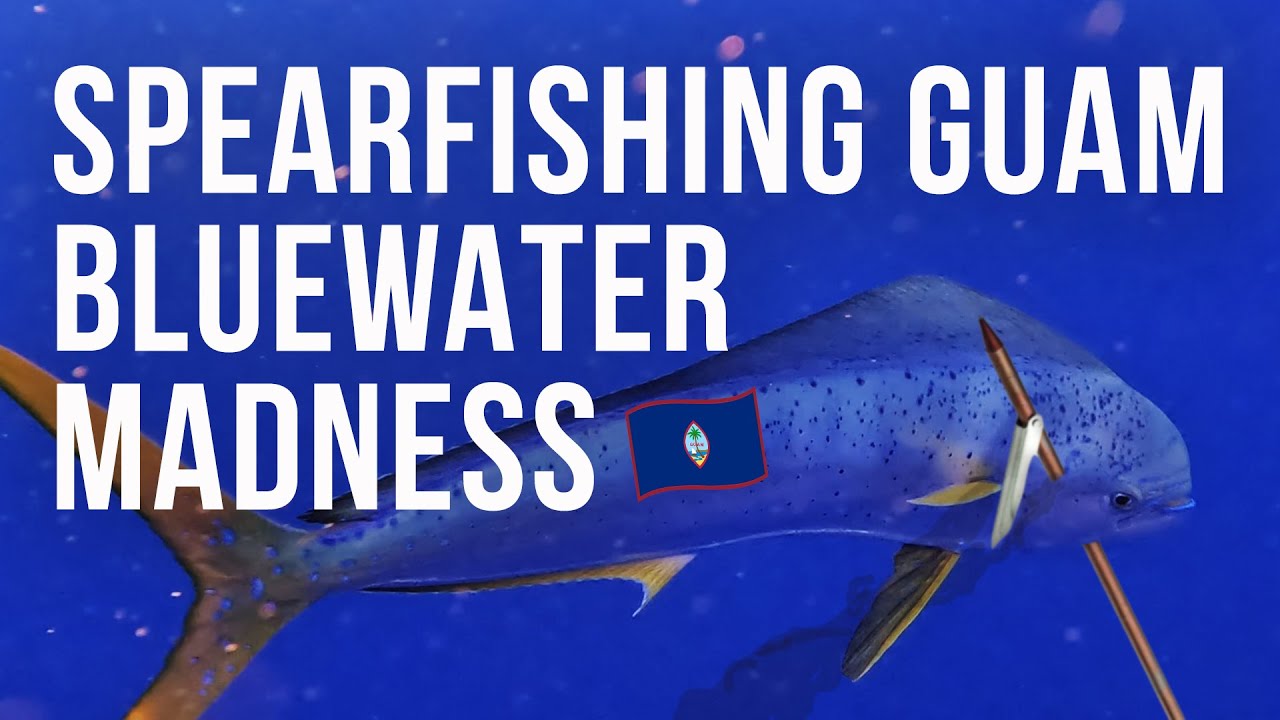 Spearfishing Guam Bluewater Madness