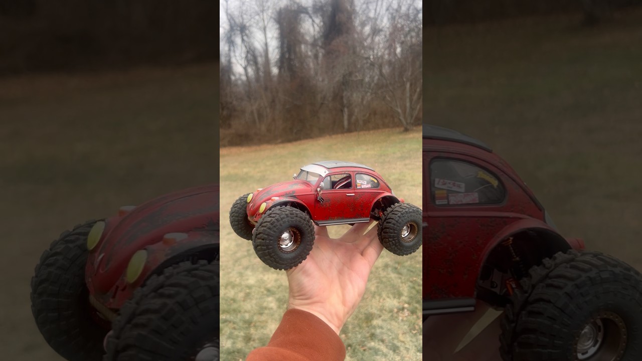 The BEEFY bug ❤️ #scx24