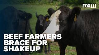 Trumps pause on beef import tariffs raises worries for Northeast Wisconsin farmers