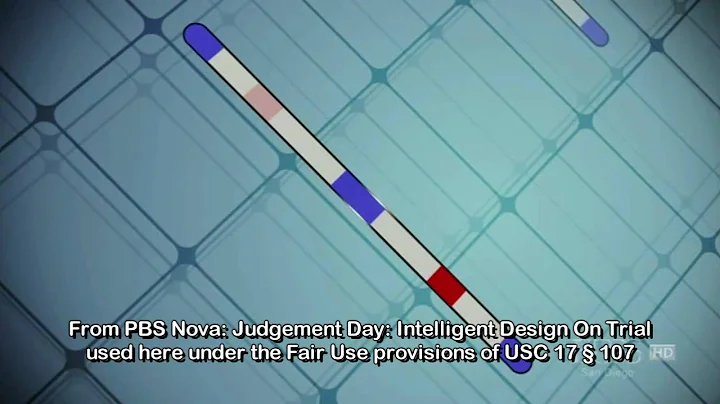 How Evolution Is Scientific Part 2: Accurate Predictions