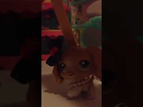 Smitten Kitten Intro - YouTube