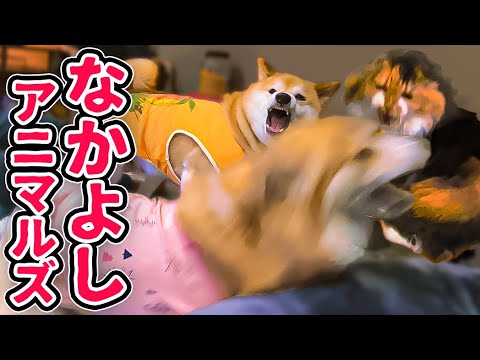 なかよし。そして悲しみさえも宇宙に包まれた。