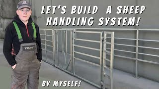 Let’s Build a Sheep Handling System From Scratch! 