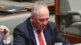 Barnaby Joyce expected to defect to One Nation over net zero saga
