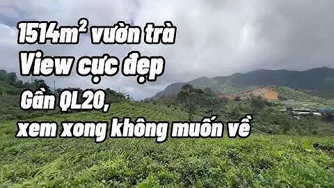 1514m² đồi Trà, có 50m² đất Tc, đường Hàm Nghi, gần chân Đèo Bảo Lộc, View cực đẹp, giá chỉ 1,550 tỷ