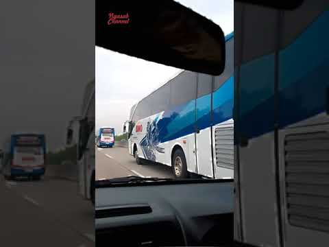 Melihat Bus Pariwisata Berbaris: Sebuah Simfoni Warna dan Mimpi Perjalanan