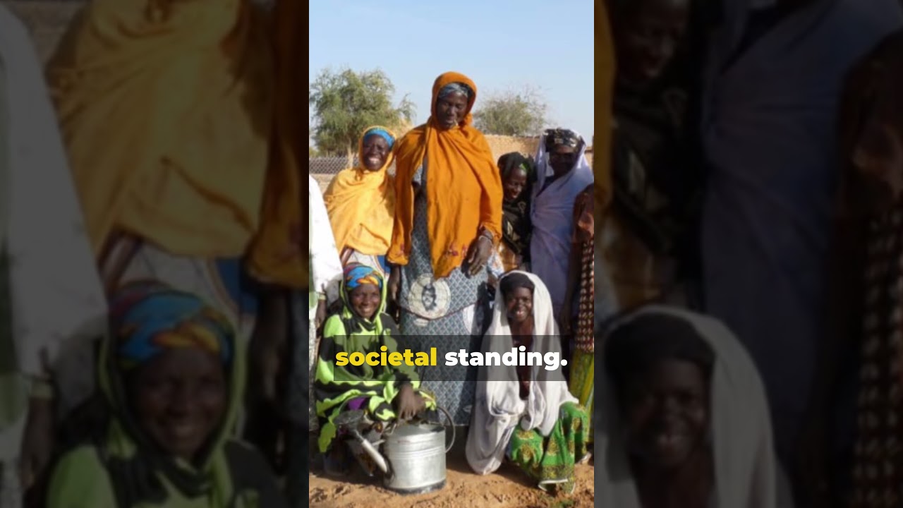 Empowering Women, Building Futures newTree's Winter 2023 Highlights