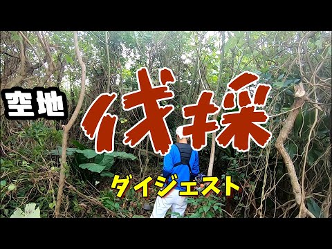 ジャングルみたいになった空き地の伐採 ダイジェスト版 - YouTube