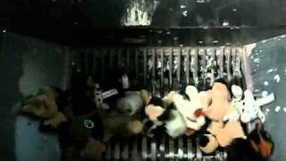 Watch us Shred Soft Toys 2010.wmv screenshot 3