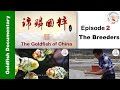 Goldfish of China 2 “The Breeders" 锦鳞国粹 👉