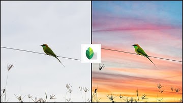 Best Way To Replace the Sky (without masking) in SNAPSEED / Mobile Editing / #snapseed