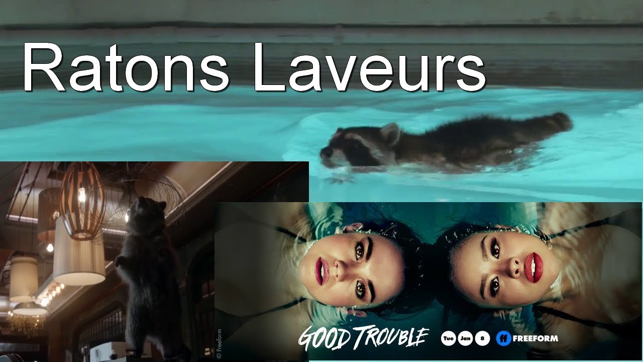Les ratons laveurs Good trouble