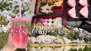 Hanami Bento|Picnic Under Sakura|Cherry Blossom Viewing @Akashi Castle Park , Hyogo Japan