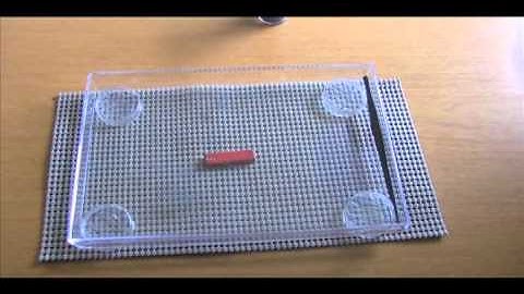 Magnetic Field Viewer Demonstration