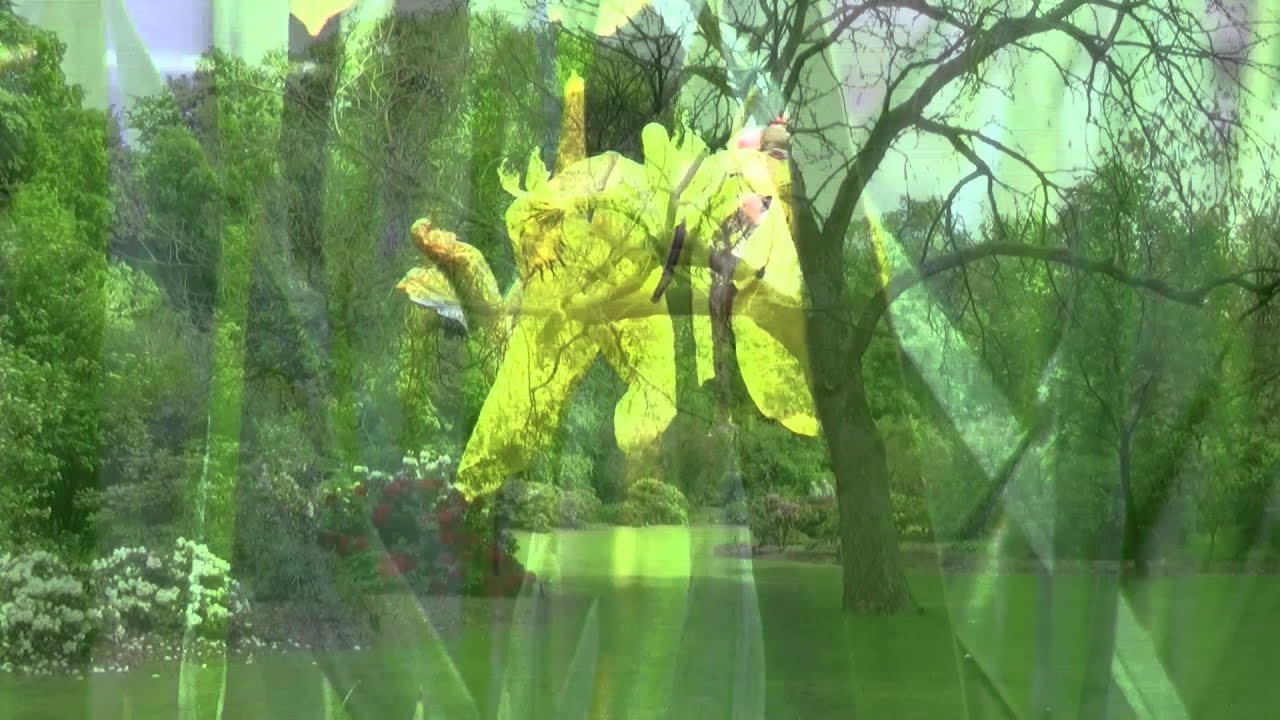 Arboretum Belmonte te Wageningen - muziek: Ruud van der Velde (p)