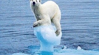 Climate Change?...WE DID IT!!! [Rob Jones - New Horizons 2014]