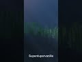 which looks the beat #minecraft #original #minecraftshorts #shaders #gaming #trending #viral #shorts