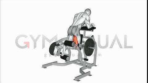 Lever Kneeling Leg Curl plate loaded