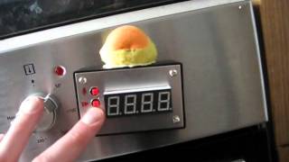 Quacking oven timer