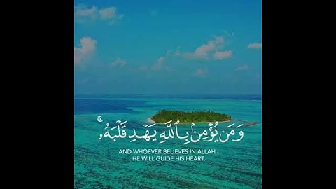 ماهر المعيقلي سورة التغابن