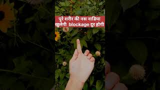 पूरे शरीर की नस नाडिया खुलेगी blockage दूर होगी #reels #viral #trending #blockages
