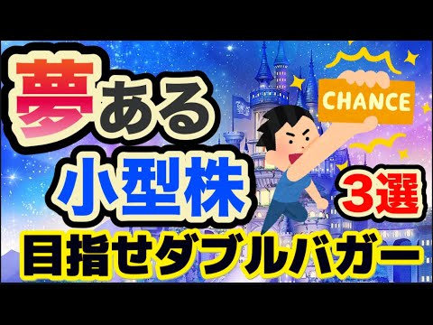 夢ある小型株【ダブルバガー候補3選】