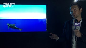 | NEC Display Solutions|New York Showcase 2018_E657Q_4K UHD Display