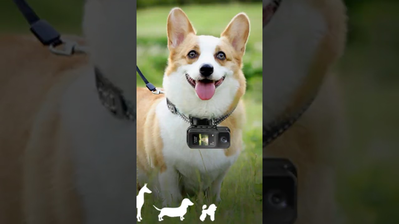 🔥 This Mini Camera Will Blow Your Mind!