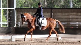 Novice Freestyle Equestrian Australia (Batman theme song)