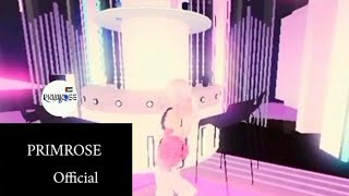 Primrose Solo Hanni Mv Office