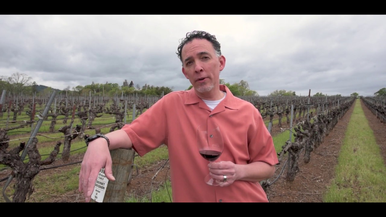 Landslide Cabernet Tasting in the Vineyard