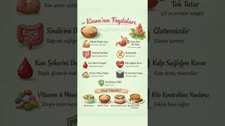 Kinoanın faydaları l Detaylar açıklamada