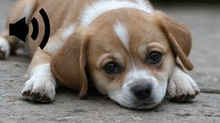 dog barking sound screenshot 5