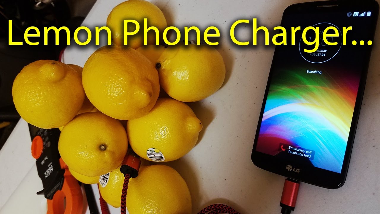 Lemon Phone Charger YouTube
