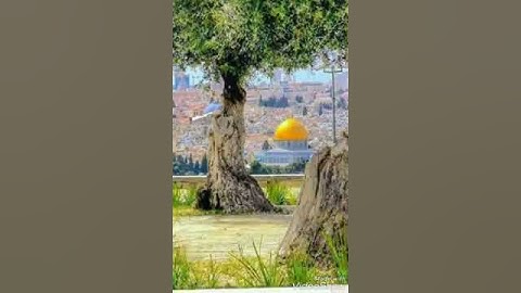 تلاوة هادئة بصوت القارئ يوسف بن عواد الطوباسي