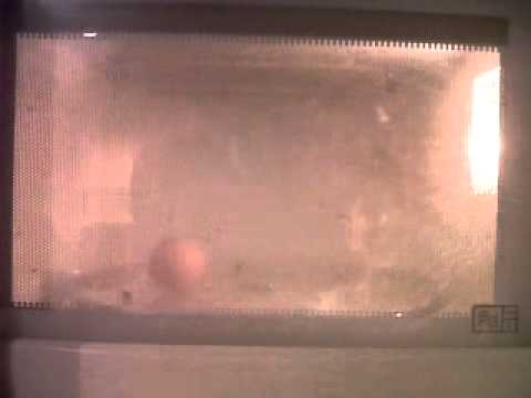 microwave egg exploding