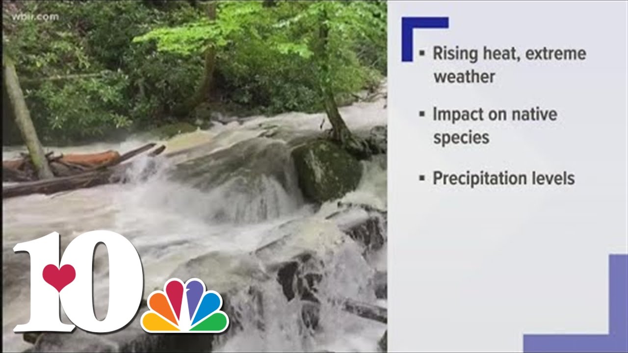 Scientists study climate impact and the Smokies