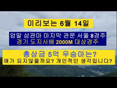5억 총상금 미리보는 암말 삼관마 경기 도지사배 대상경주 우승마는?