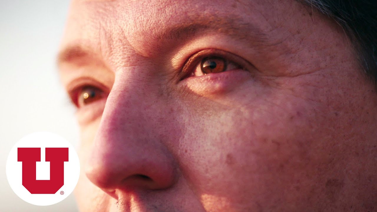 The U’s Own Monet: David Meikle, the Artist Behind Wes Anderson's 