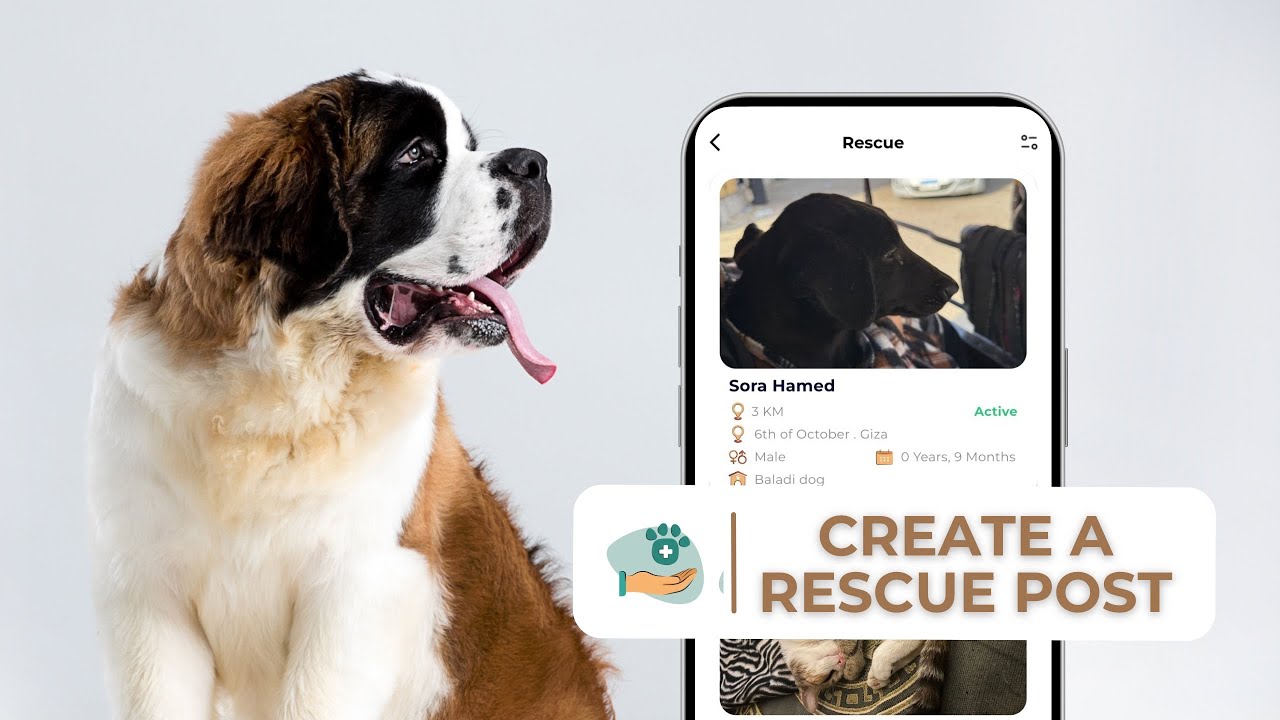 OneFurever | How to create a rescue post - YouTube