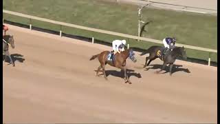 RACE 4--GULFSTREAM PARK-- USA-- 27 DEC 2925