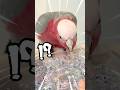 喋るオウムとシール交換したら思ってたのとなんか違うww【モモイロインコ】 #shorts