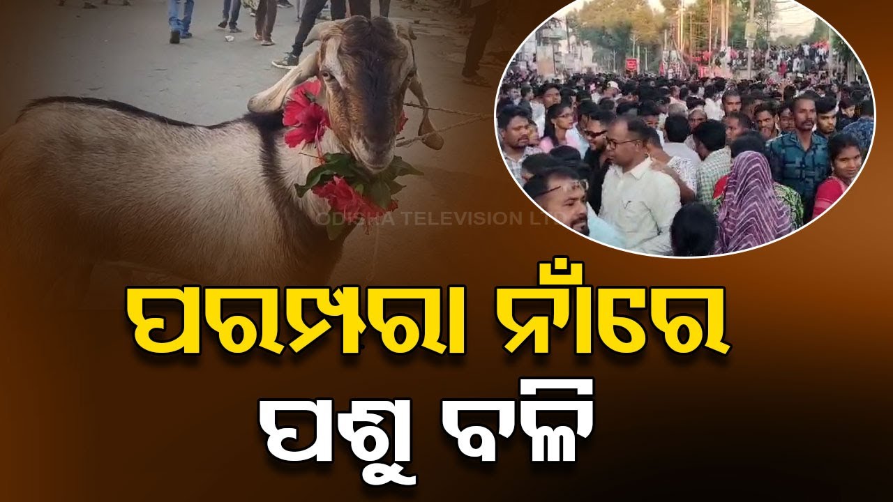 Chhatar Yatra of Maa Manikeswari in Kalahandi: Animal Sacrifice Sparks Tradition Debate
